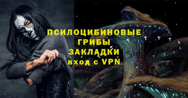 молекула духа Алексин
