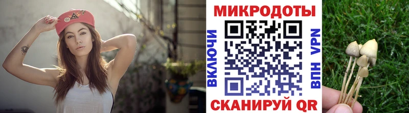 Галлюциногенные грибы мухоморы Томмот