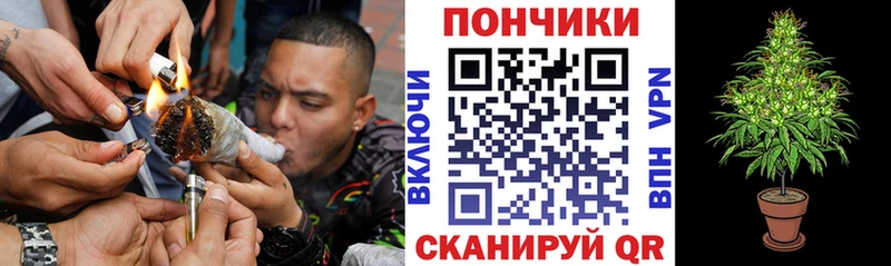 Каннабис планчик  Томмот 